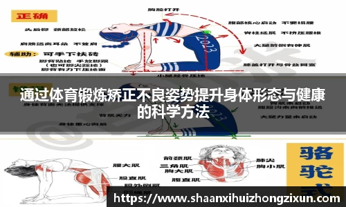 通过体育锻炼矫正不良姿势提升身体形态与健康的科学方法